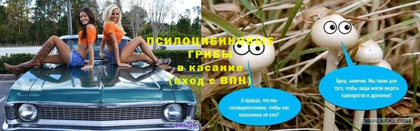 эйфоретик Абинск