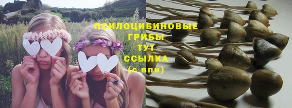 соль курить ск Алзамай